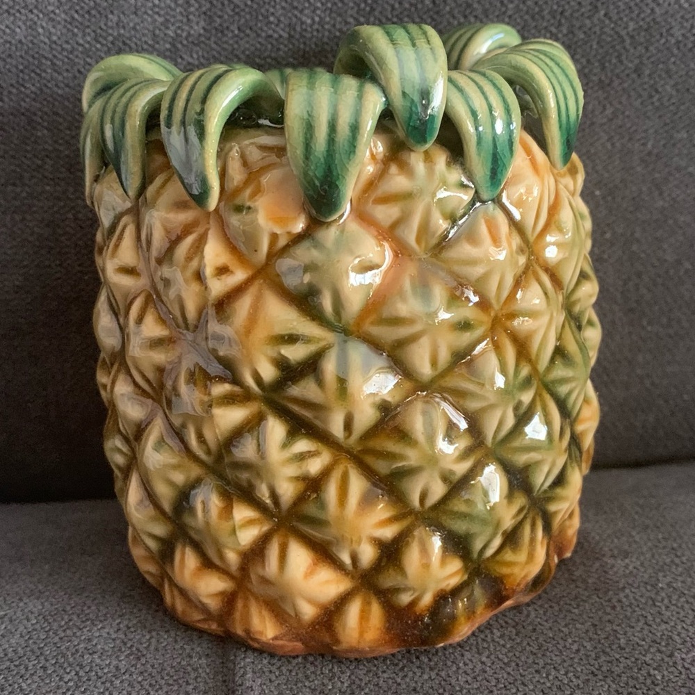 Pineapple ceramic bamboo succulent planter